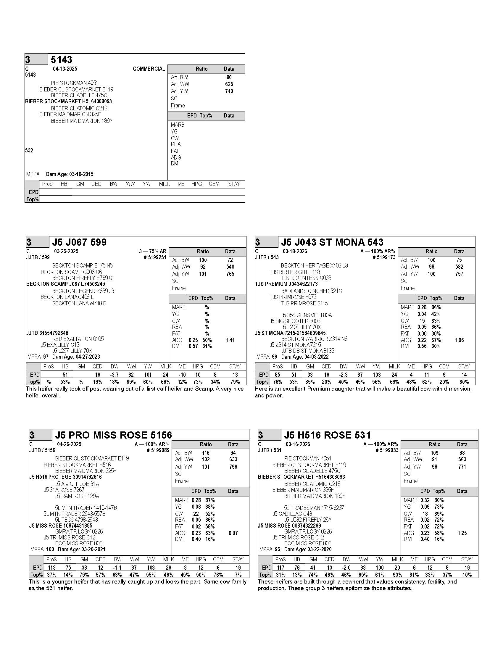 heifers 1_Page_3
